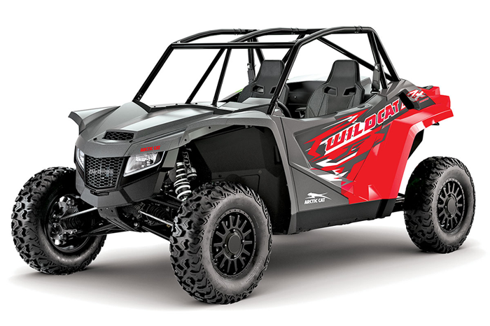 2-Seater UTV: Compact for Two